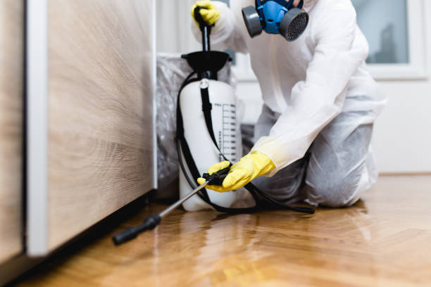 Best Insect Control  in Harrisburg, IL
