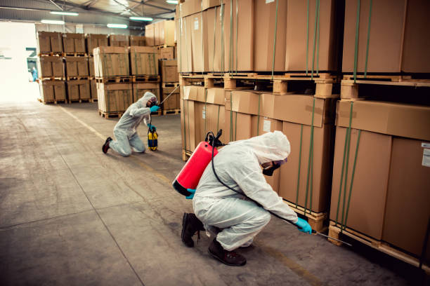Best Best Pest Control Companies  in Harrisburg, IL