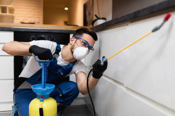 Best Residential Pest Control  in Harrisburg, IL