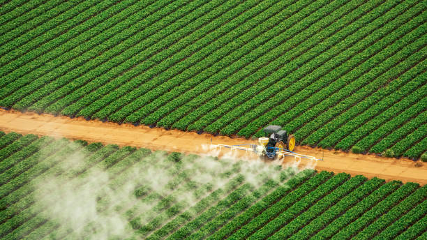 Best Pest Control for Homes  in Harrisburg, IL