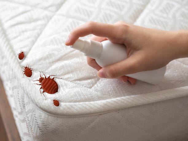 Flea Control Services in Harrisburg, IL